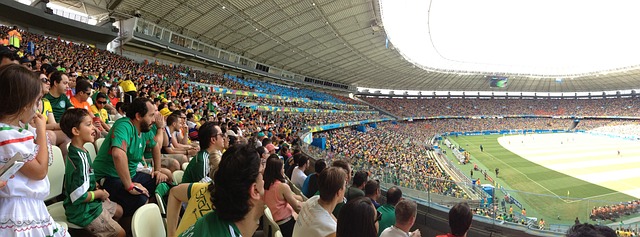 电机