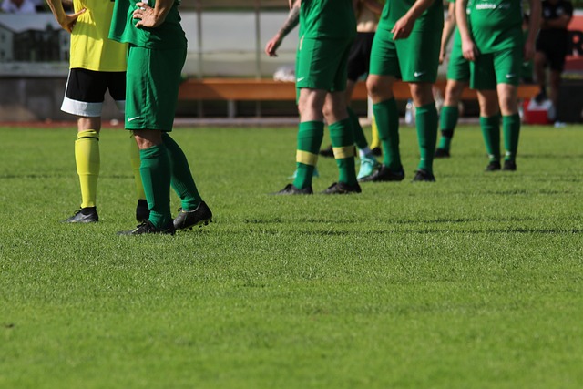 化现象的体 化现象的体