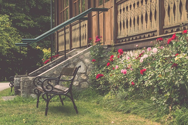 未来潜在的 未来潜在的