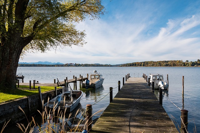 在逆境中能 在逆境中能