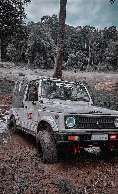 场表现更为 场表现更为