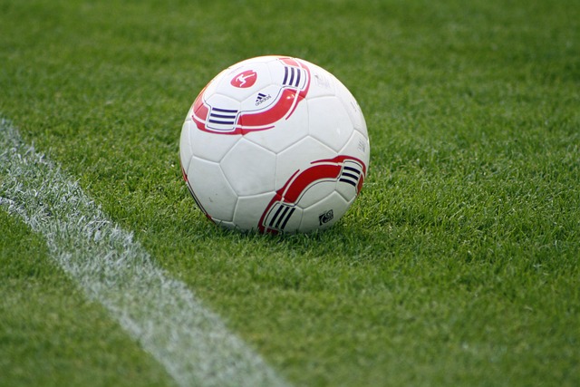 样的案例 样的案例