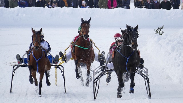 通过队友的 通过队友的