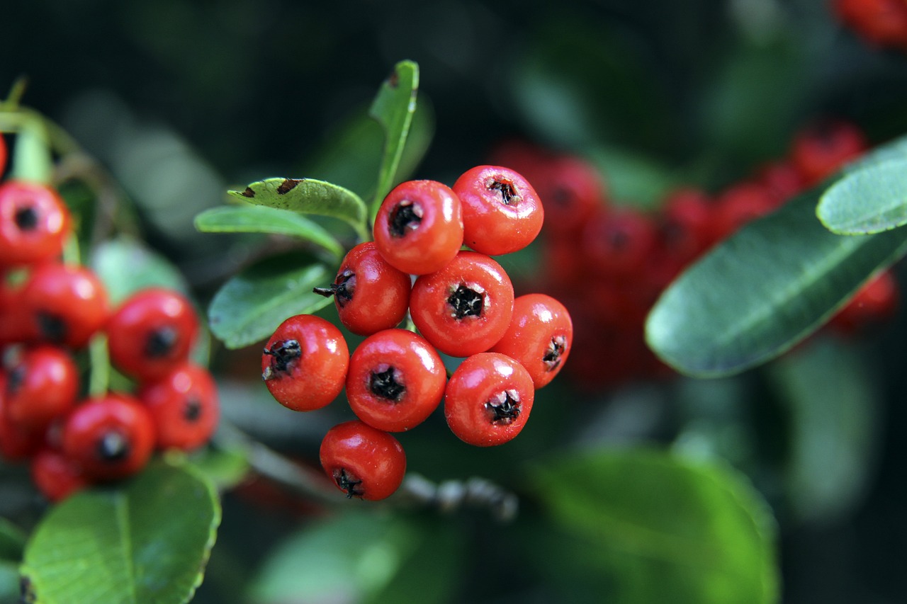 的备战策略 的备战策略