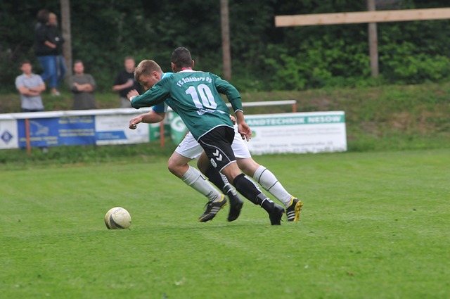 持着极高的 持着极高的