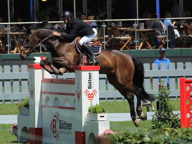 表现对比赛 表现对比赛